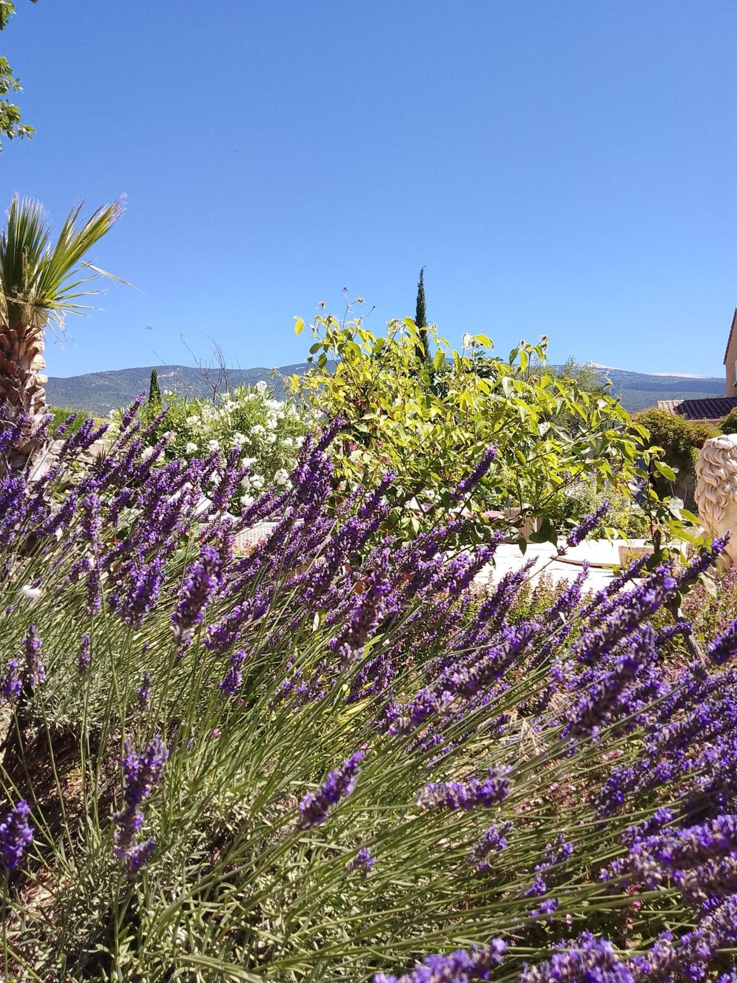 Les Gites Du Mont Ventoux Bédoin Exteriör bild